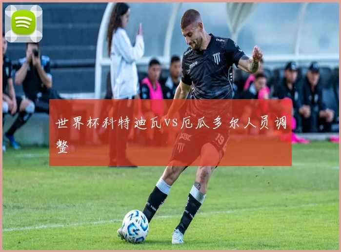 世界杯科特迪瓦vs厄瓜多尔人员调整