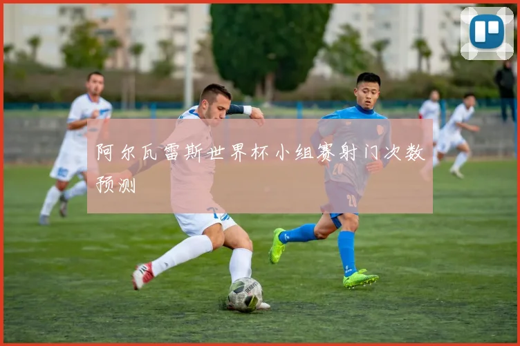 阿尔瓦雷斯世界杯小组赛射门次数预测