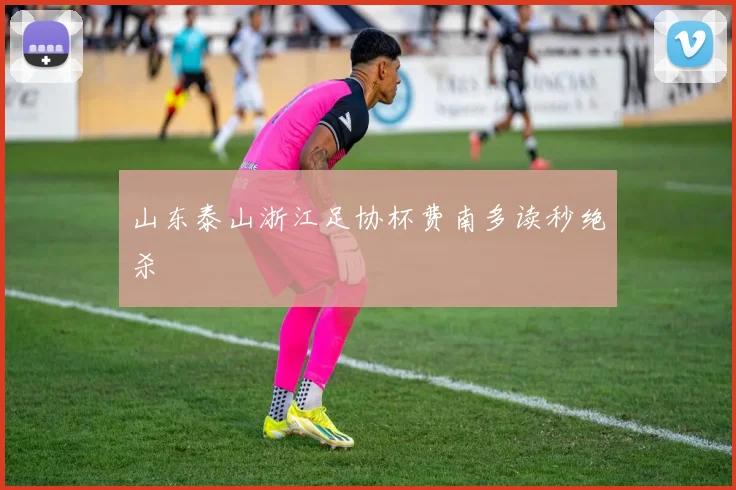 山东泰山浙江足协杯费南多读秒绝杀