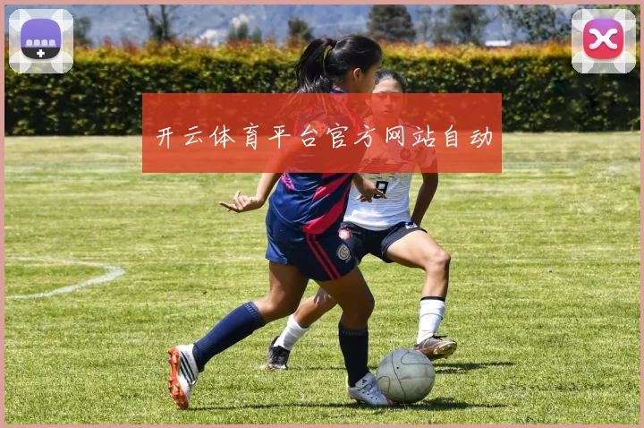 开云体育平台官方网站自动