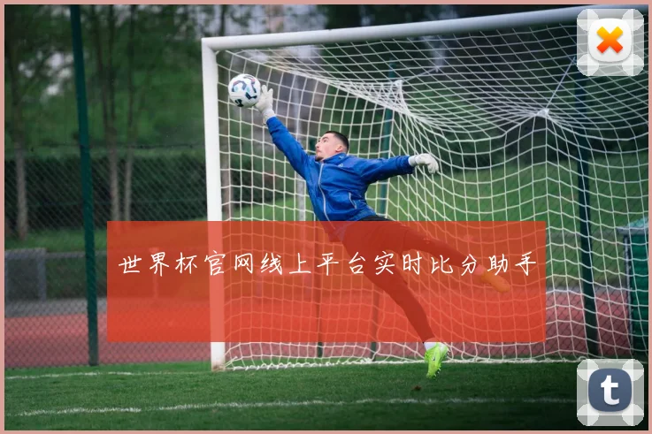 世界杯官网线上平台实时比分助手