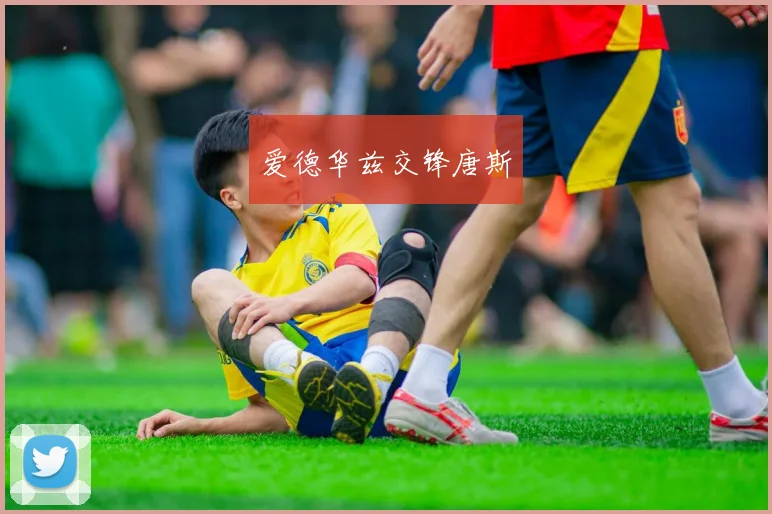 爱德华兹交锋唐斯