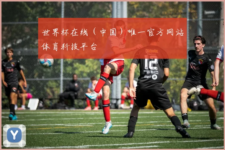 世界杯在线（中国）唯一官方网站体育科技平台