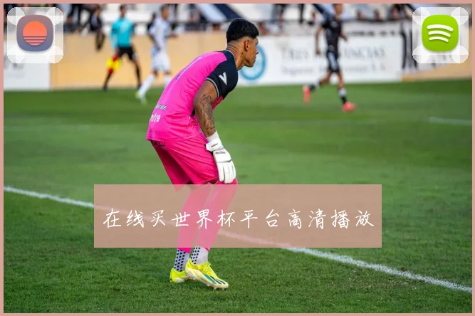 在线买世界杯平台高清播放