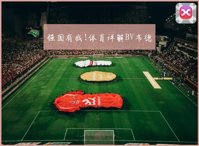强国有我!体育详解BV韦德