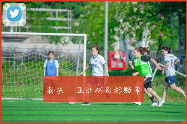 孙兴慜亚洲杯目标赔率
