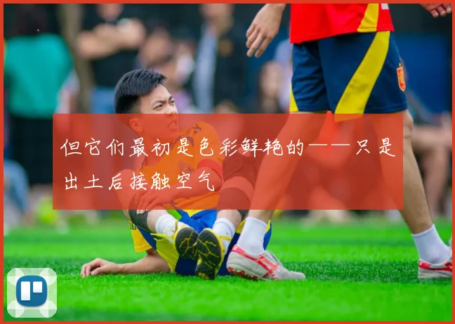 但它们最初是色彩鲜艳的——只是出土后接触空气