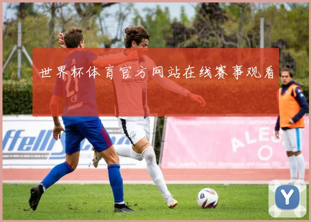 世界杯体育官方网站在线赛事观看