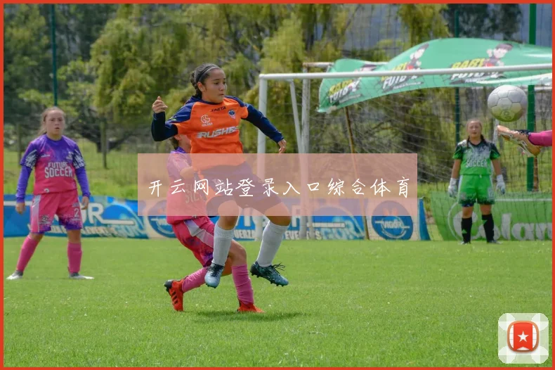 开云网站登录入口综合体育