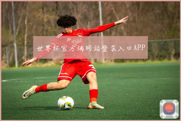 世界杯官方端网站登录入口APP