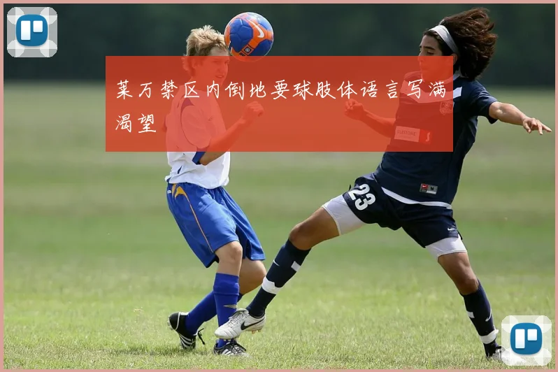 莱万禁区内倒地要球肢体语言写满渴望