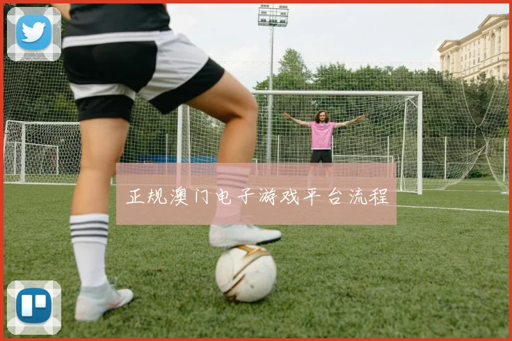 正规澳门电子游戏平台流程