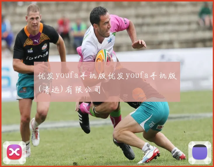 优发youfa手机版优发youfa手机版(清远)有限公司