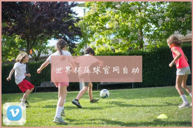 世界杯压球官网自动