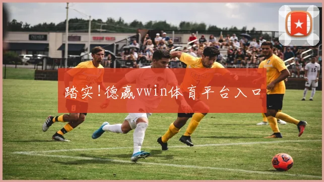 踏实!德赢vwin体育平台入口