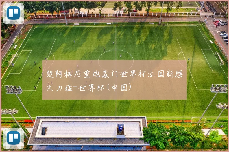 楚阿梅尼重炮轰门世界杯法国新腰火力猛-世界杯(中国)