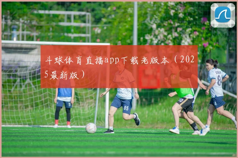斗球体育直播app下载老版本（2025最新版）