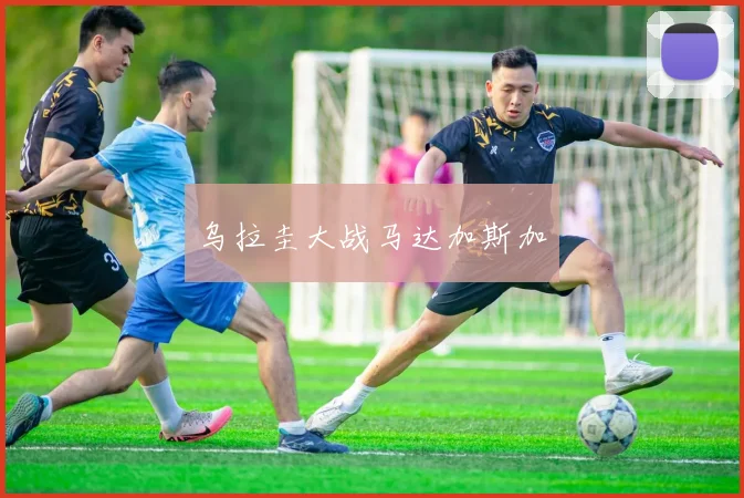 乌拉圭大战马达加斯加