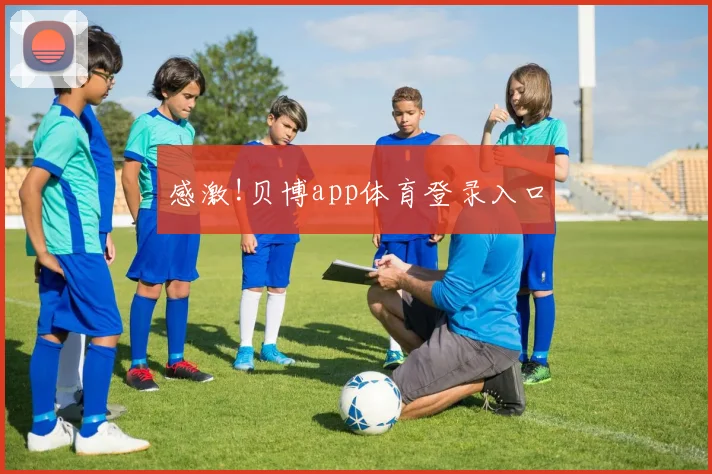 感激!贝博app体育登录入口