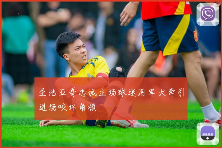 圣地亚哥忠诚主场球迷用军犬牵引进场咬坏角旗