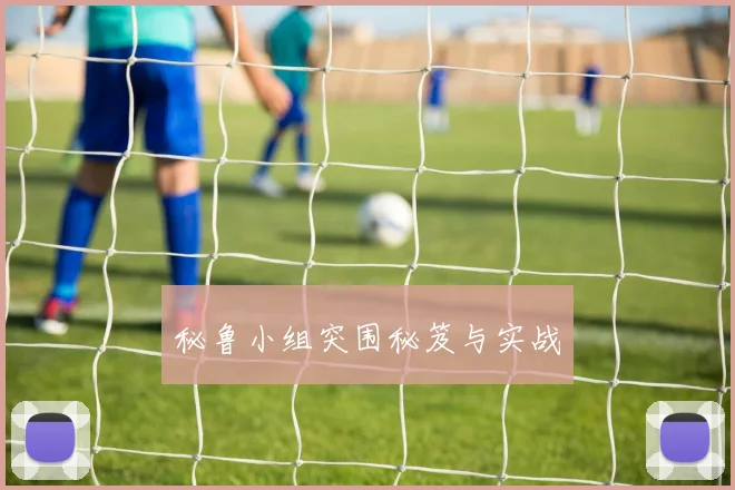 秘鲁小组突围秘笈与实战