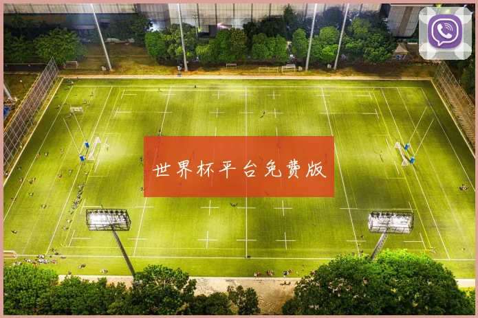 世界杯平台免费版