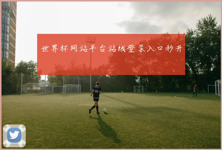 世界杯网站平台站线登录入口秒开