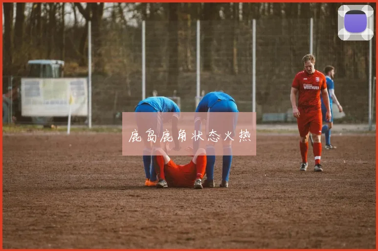 鹿岛鹿角状态火热