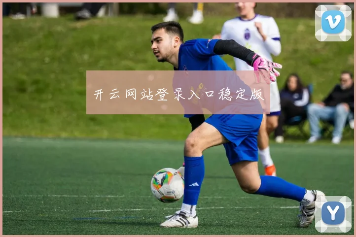 开云网站登录入口稳定版
