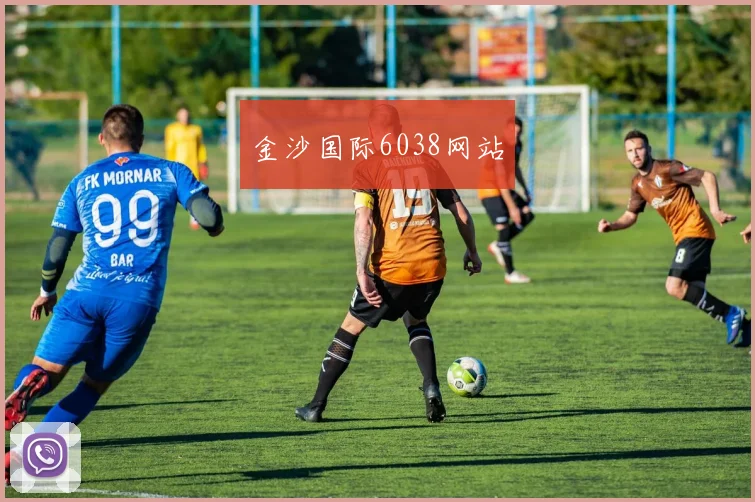 金沙国际6038网站