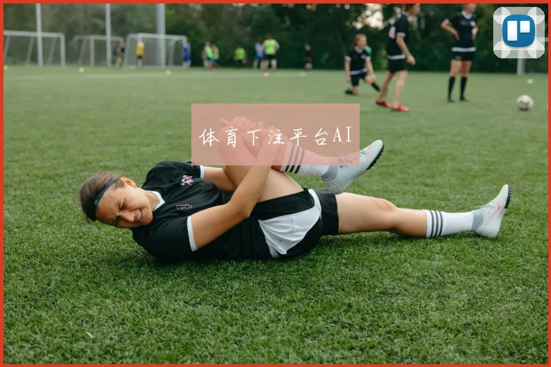 体育下注平台AI