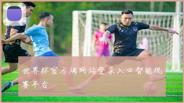 世界杯官方端网站登录入口智能观赛平台
