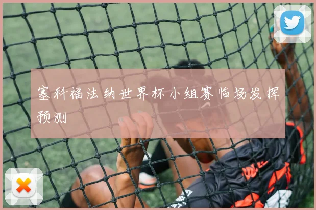 塞科福法纳世界杯小组赛临场发挥预测