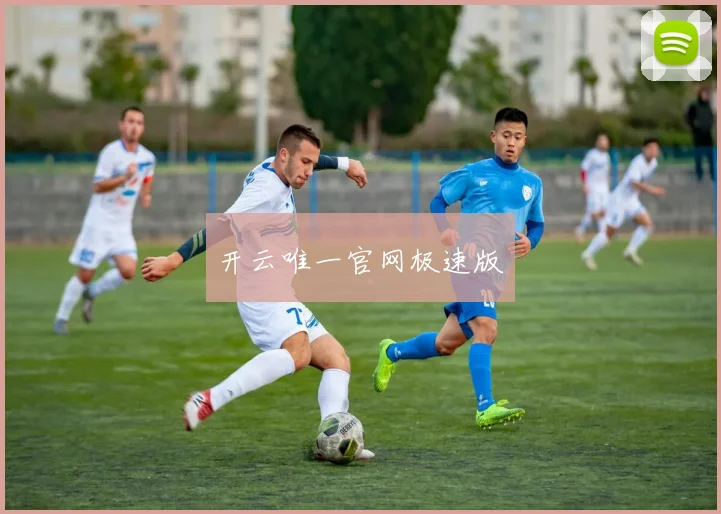 开云唯一官网极速版