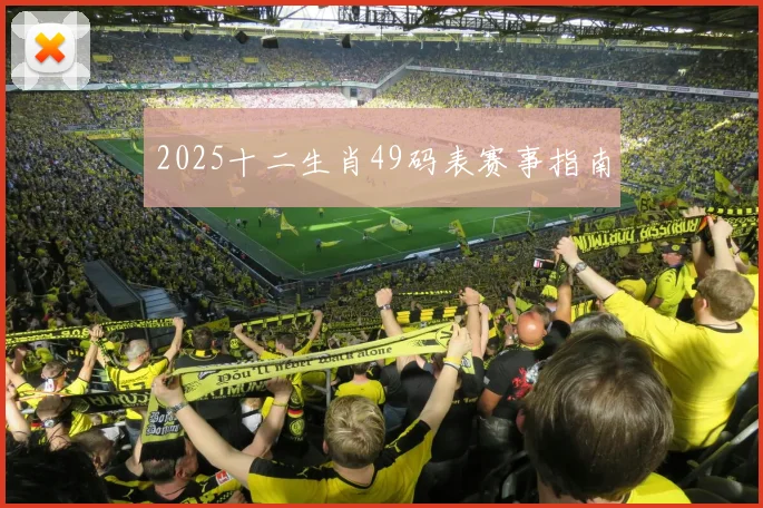2025十二生肖49码表赛事指南