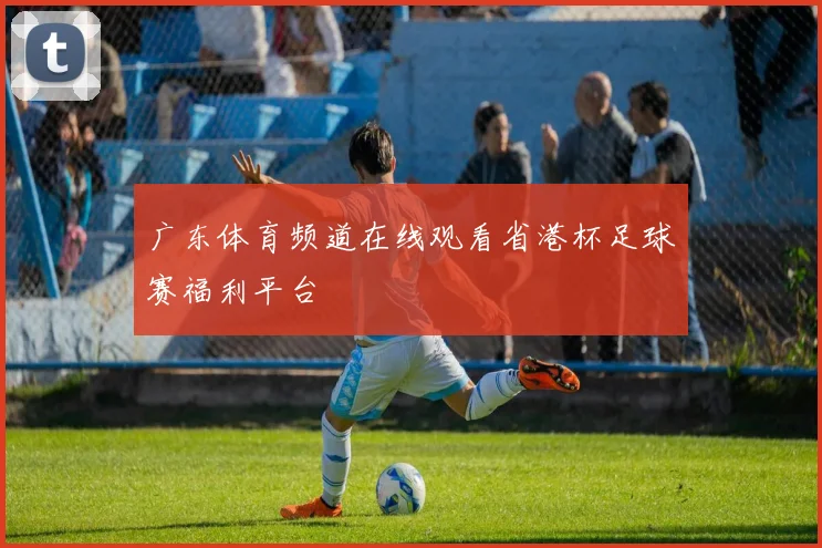 广东体育频道在线观看省港杯足球赛福利平台