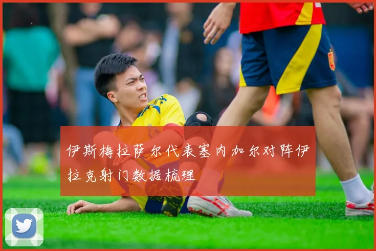 伊斯梅拉萨尔代表塞内加尔对阵伊拉克射门数据梳理
