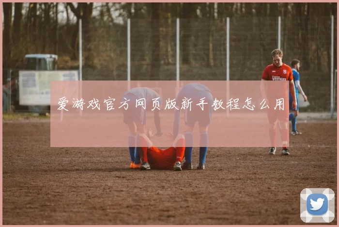 爱游戏官方网页版新手教程怎么用
