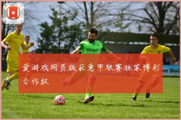 爱游戏网页版获意甲联赛独家博彩合作权