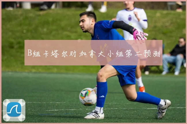 B组卡塔尔对加拿大小组第二预测